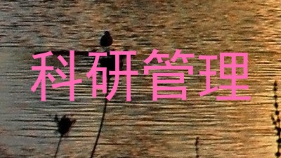 科研管理