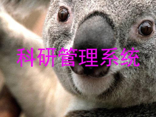 科研管理系统