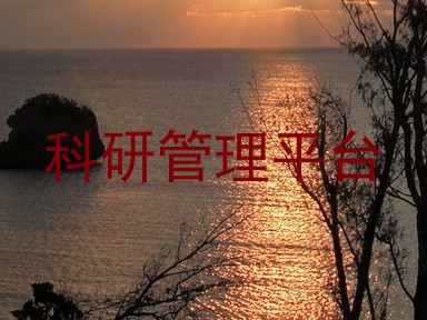 科研管理平台