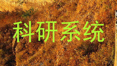 科研系统