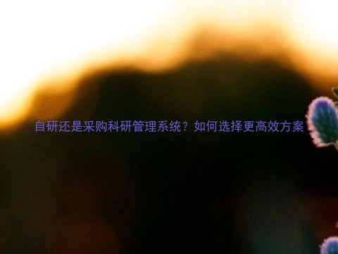 自研还是采购科研管理系统?如何选择更高效方案