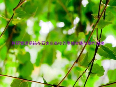 科研管理系统在石家庄高校的落地实践与操作指南