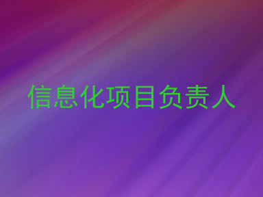 信息化项目负责人