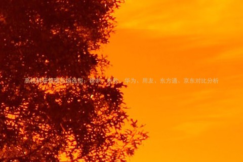 高校科研管理系统选型:锦中、、华为、用友、东方通、京东对比分析