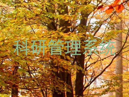 科研管理系统