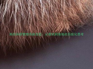 高校科研管理系统选型:从需求到落地的系统化思考