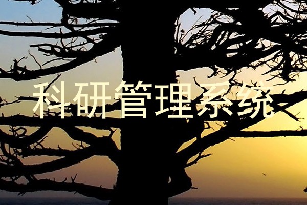 科研管理系统