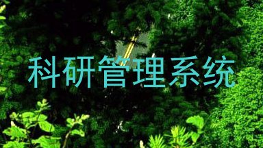 科研管理系统