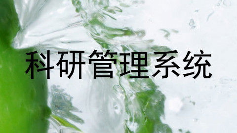科研管理系统