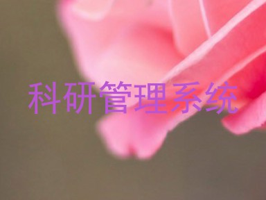 科研管理系统