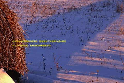 桂林高校科研管理系统升级:数据驱动下的效率与成本博弈
## 从传统到智能:桂林高校科研管理的转