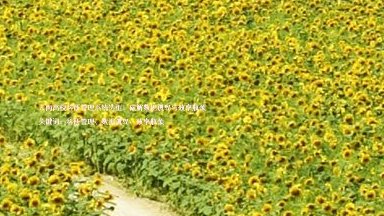 云南高校科研管理系统选型:破解数据孤岛与效率瓶颈
关键词:科研管理、数据孤岛、效率瓶颈