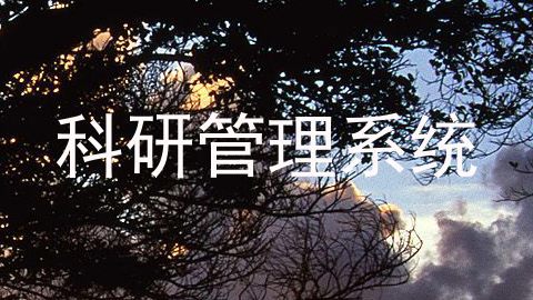 科研管理系统