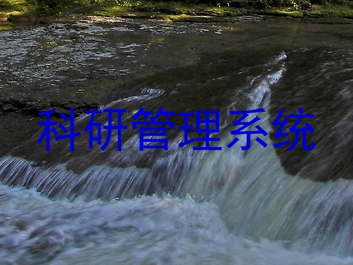科研管理系统
