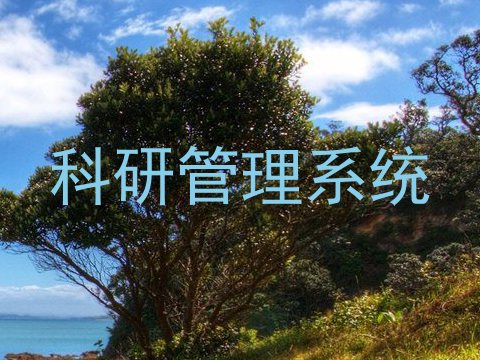 科研管理系统