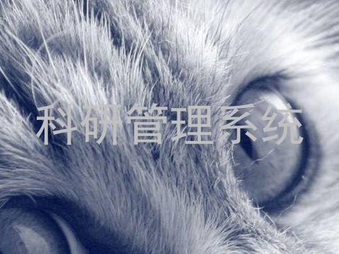 科研管理系统