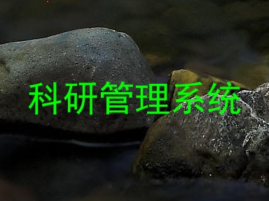 科研管理系统