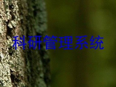 科研管理系统