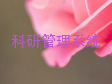 科研管理系统