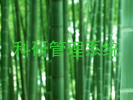 科研管理系统