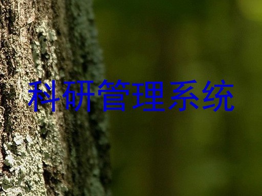 科研管理系统
