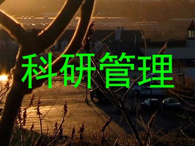 科研管理