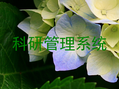 科研管理系统
