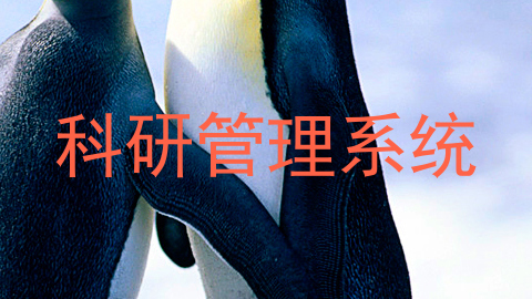 科研管理系统