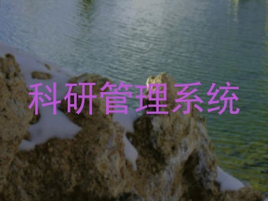 科研管理系统