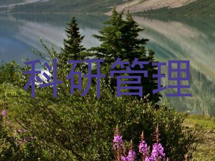 科研管理