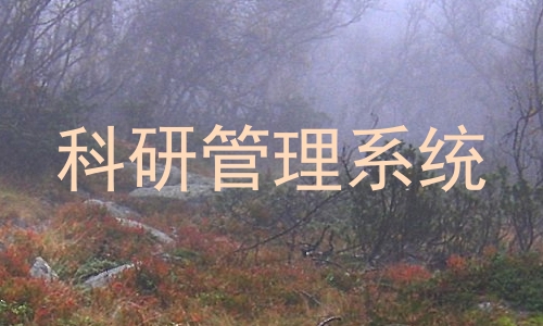 科研管理系统