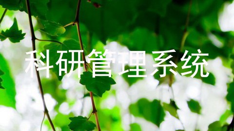 科研管理系统