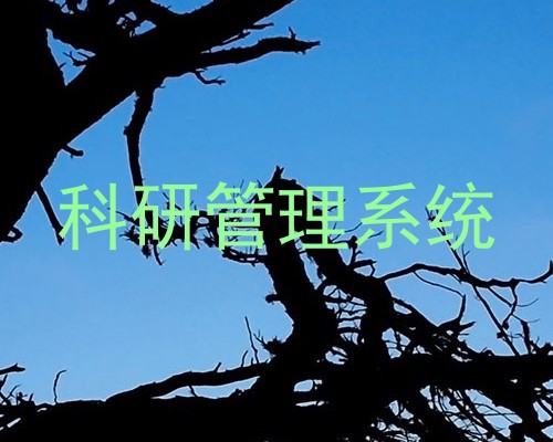 科研管理系统
