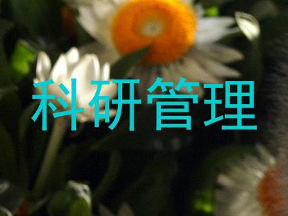 科研管理