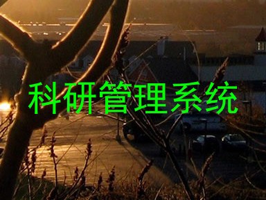 科研管理系统