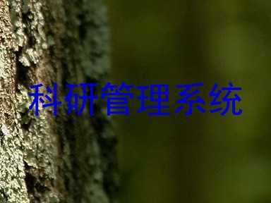 科研管理系统