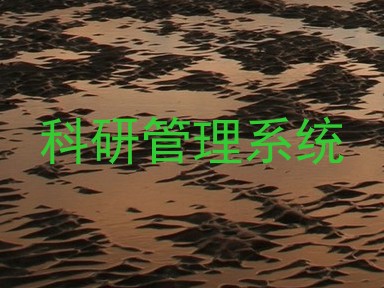 科研管理系统