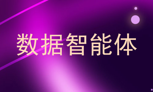 数据智能体