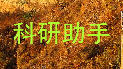 科研助手