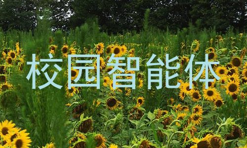 校园智能体