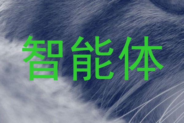 智能体