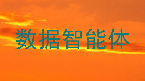 数据智能体