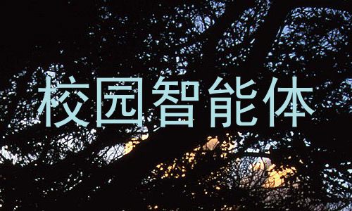 校园智能体