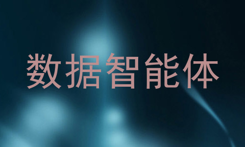 数据智能体