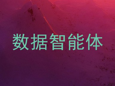 数据智能体