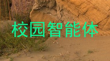校园智能体