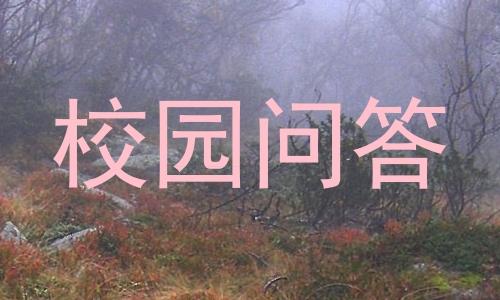 校园问答