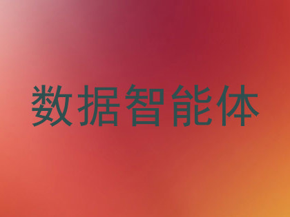 数据智能体