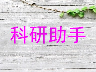 科研助手