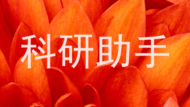 科研助手